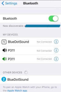 Image of iPhone Bluetooth options screen with added icons.